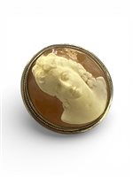 Brosche Mandile 1922 Dame Cammei antichi in Silber Conchiglia 2MSPCM6 - 2MSPCM6